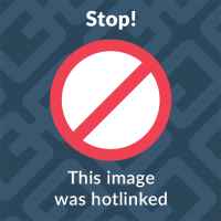 1678282087831