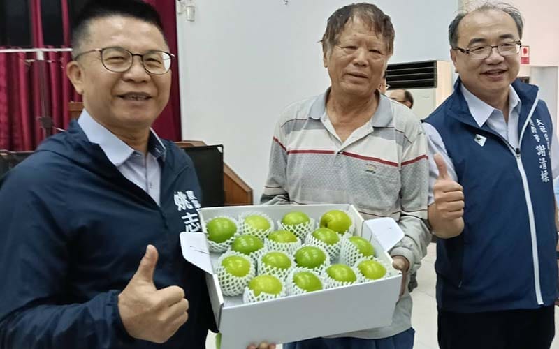 a0115大社區蜜棗產季將至3