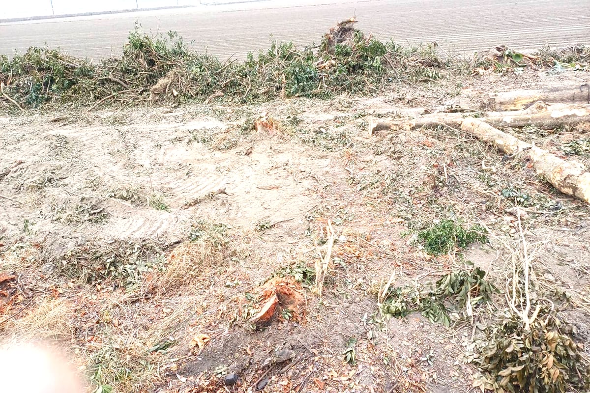 a0214台糖高壓電施工引爭議5