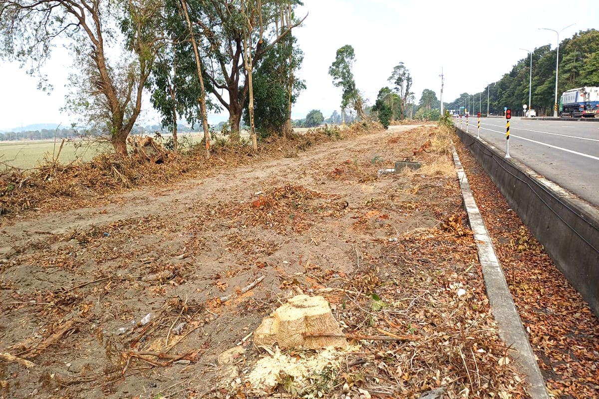 a0214台糖高壓電施工引爭議6