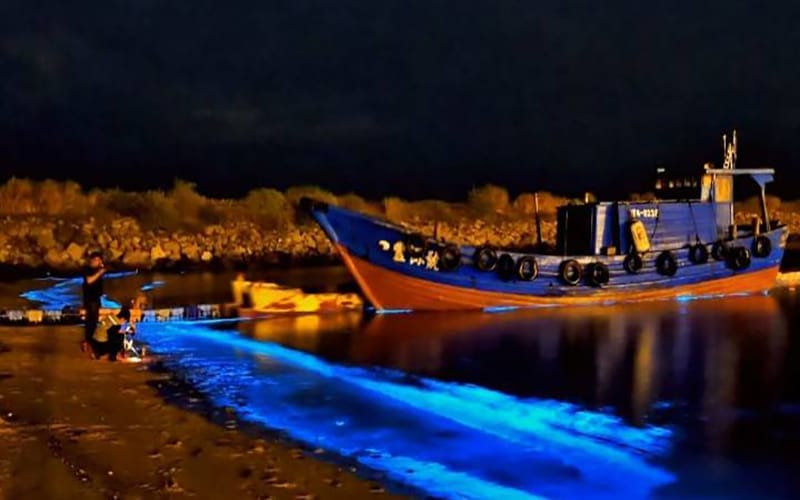 a0316連江縣推馬祖藍調時光活動3