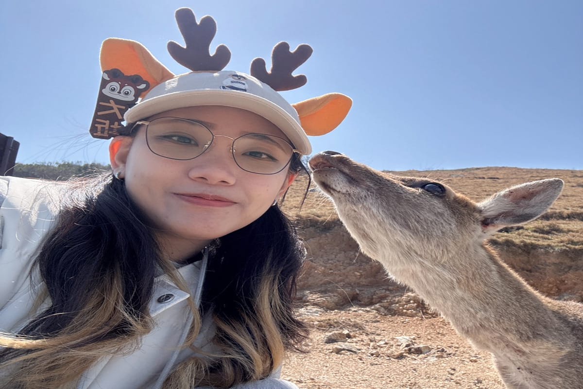 a0327追淚追星嗨翻天3