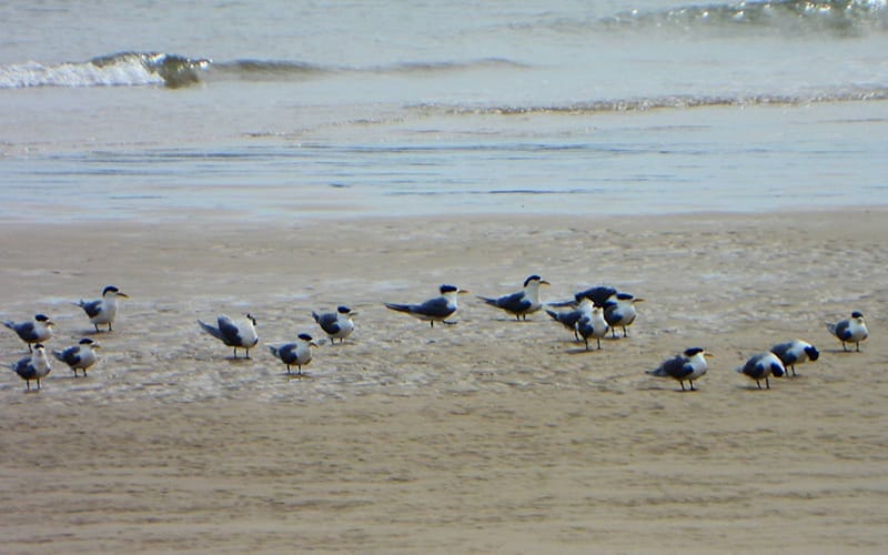 a0529馬祖端午訂房率全台第一3