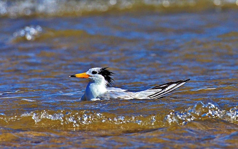 a0529馬祖端午訂房率全台第一7