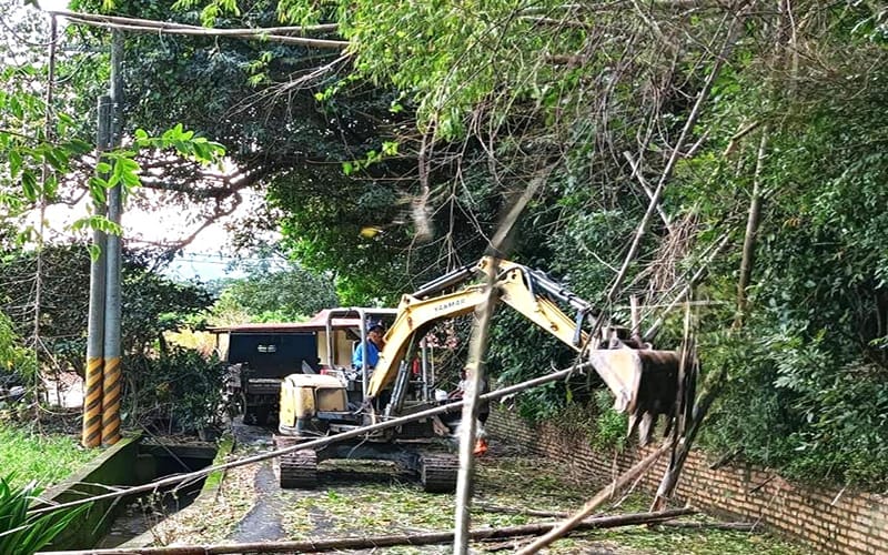 a0814旗山義民巷道被林務局刺竹擋道3