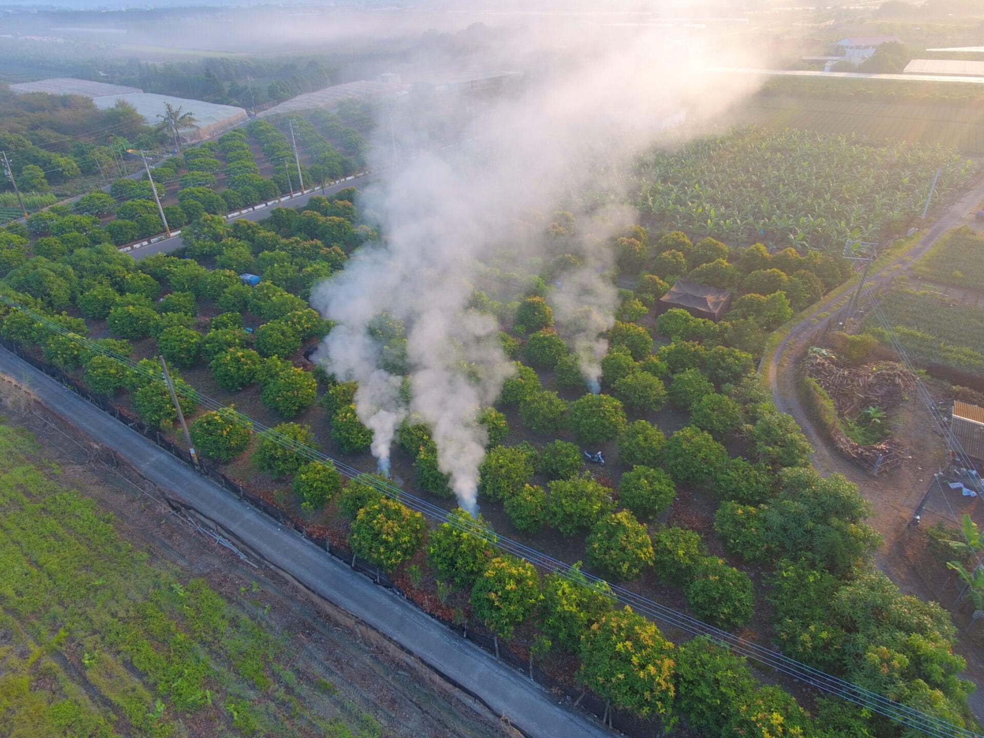 dcim100mediadji 0038.jpg